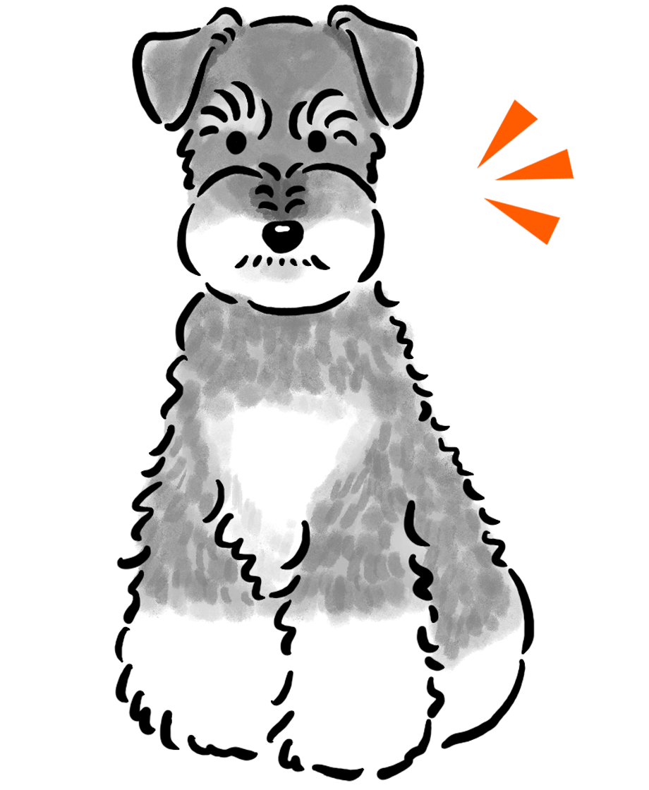 �~�j�`���A�E�V���i�E�U�[