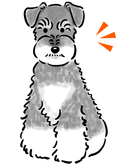 �~�j�`���A�E�V���i�E�U�[