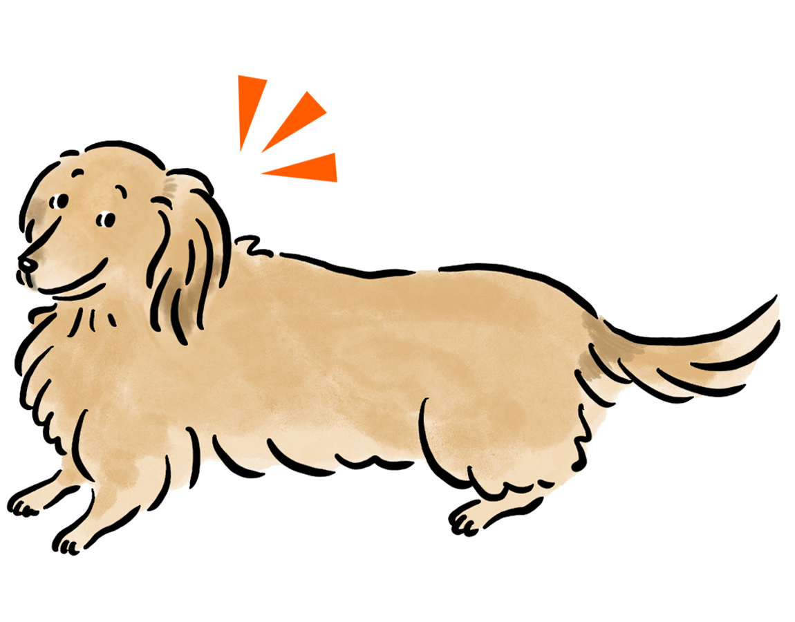 �~�j�`���A�E�_�b�N�X�t���h