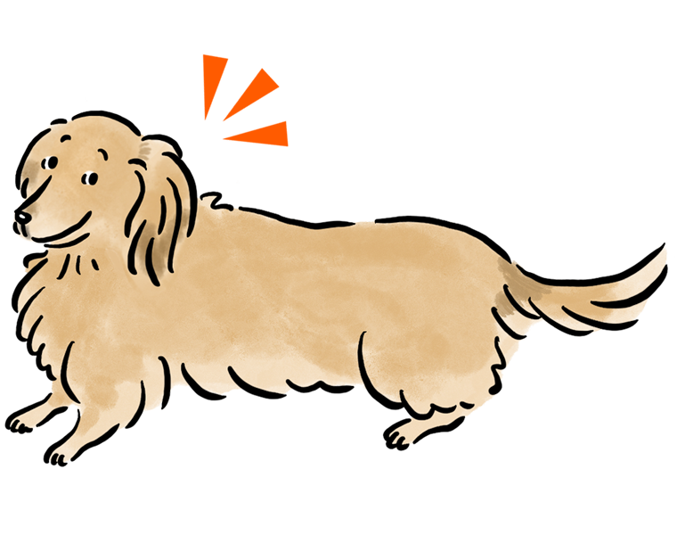 �~�j�`���A�E�_�b�N�X�t���h