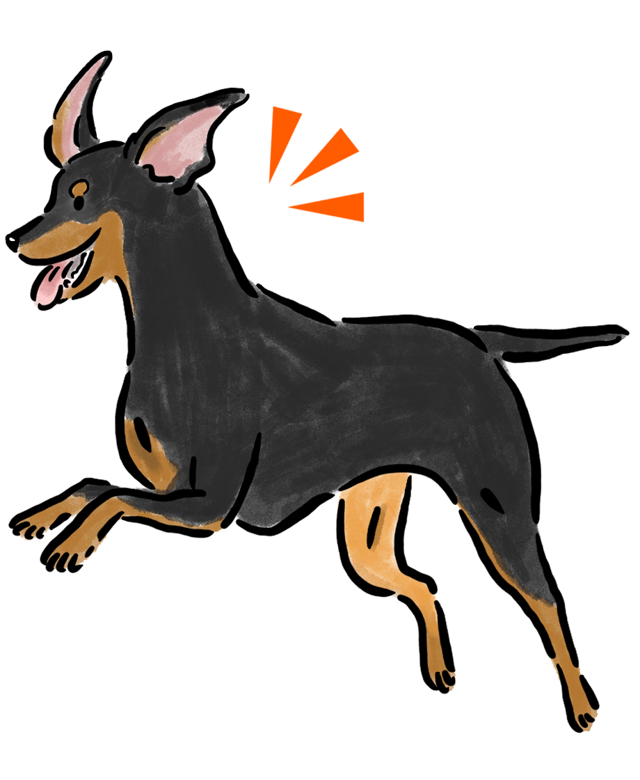 �~�j�`���A�E�s���V���[