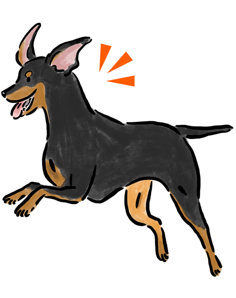 �~�j�`���A�E�s���V���[