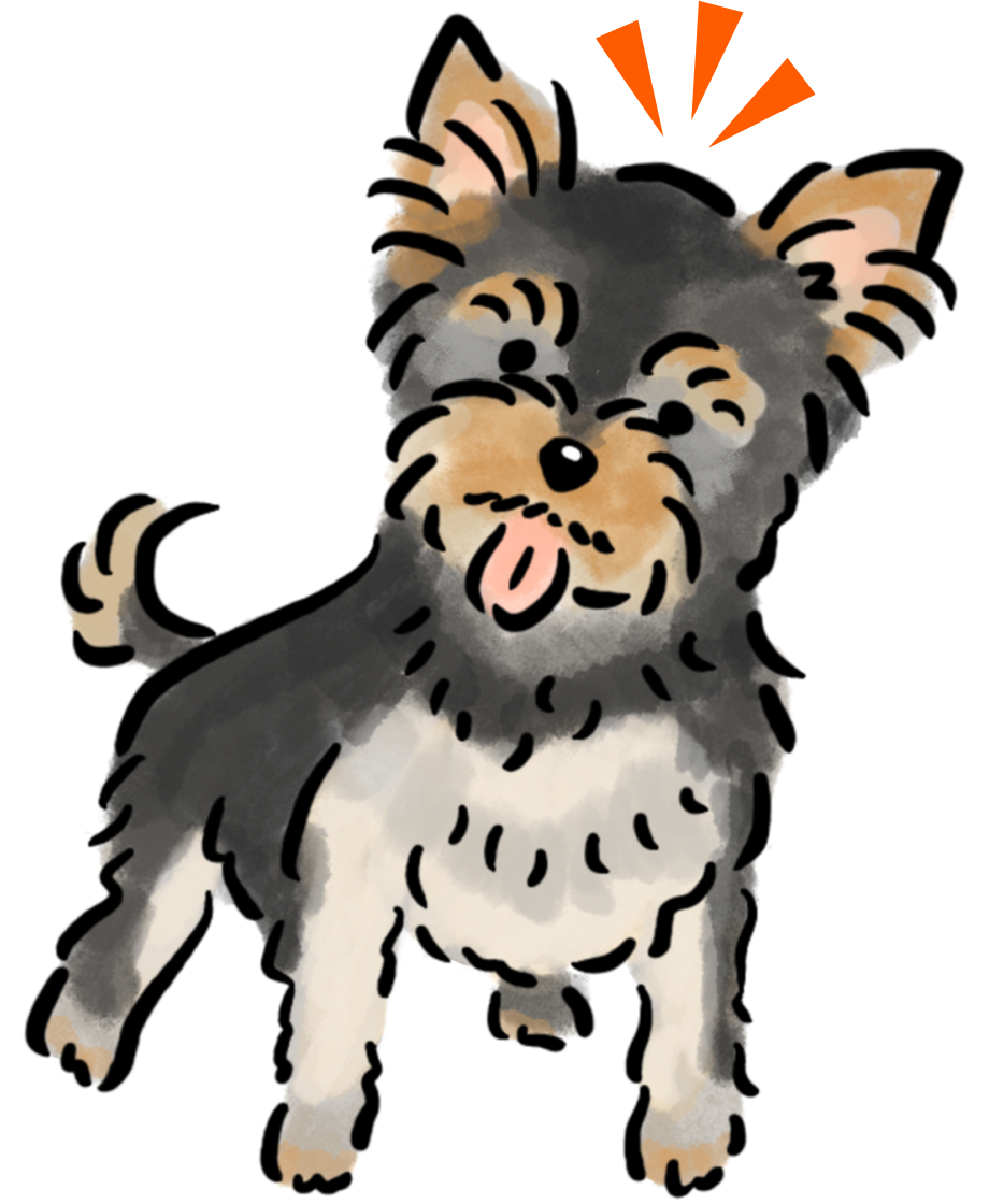 ���[�N�V���[�E�e���A