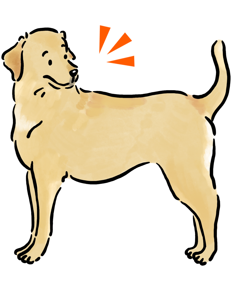 ���u���h�[���E���g���o�[