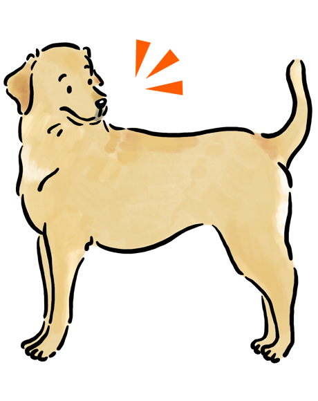 ���u���h�[���E���g���o�[