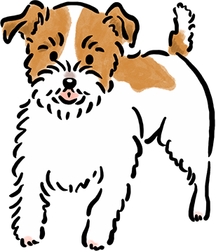 �W���b�N�E���b�Z���E�e���A