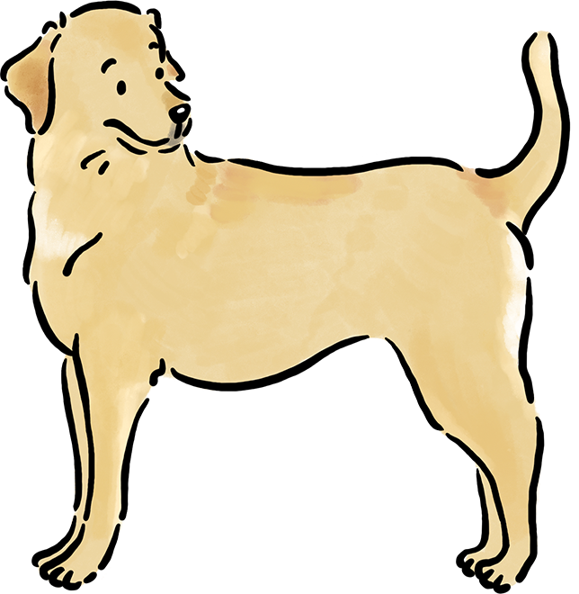 ���u���h�[���E���g���o�[