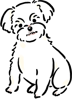 �}���`�[�Y