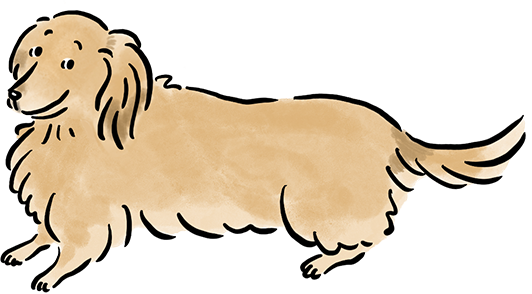 �~�j�`���A�E�_�b�N�X�t���g