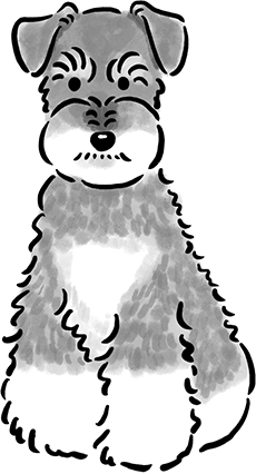 �~�j�`���A�E �V���i�E�U�[