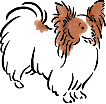 �p�s����