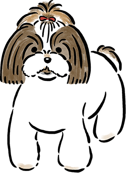 �V�[�E�Y�[