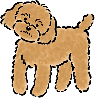 �g�C�E�v�[�h��