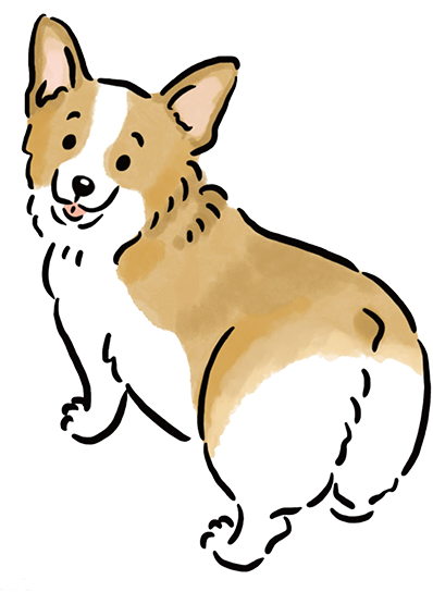 �E�F���V���E�R�[�M�[�E�y���u���[�N