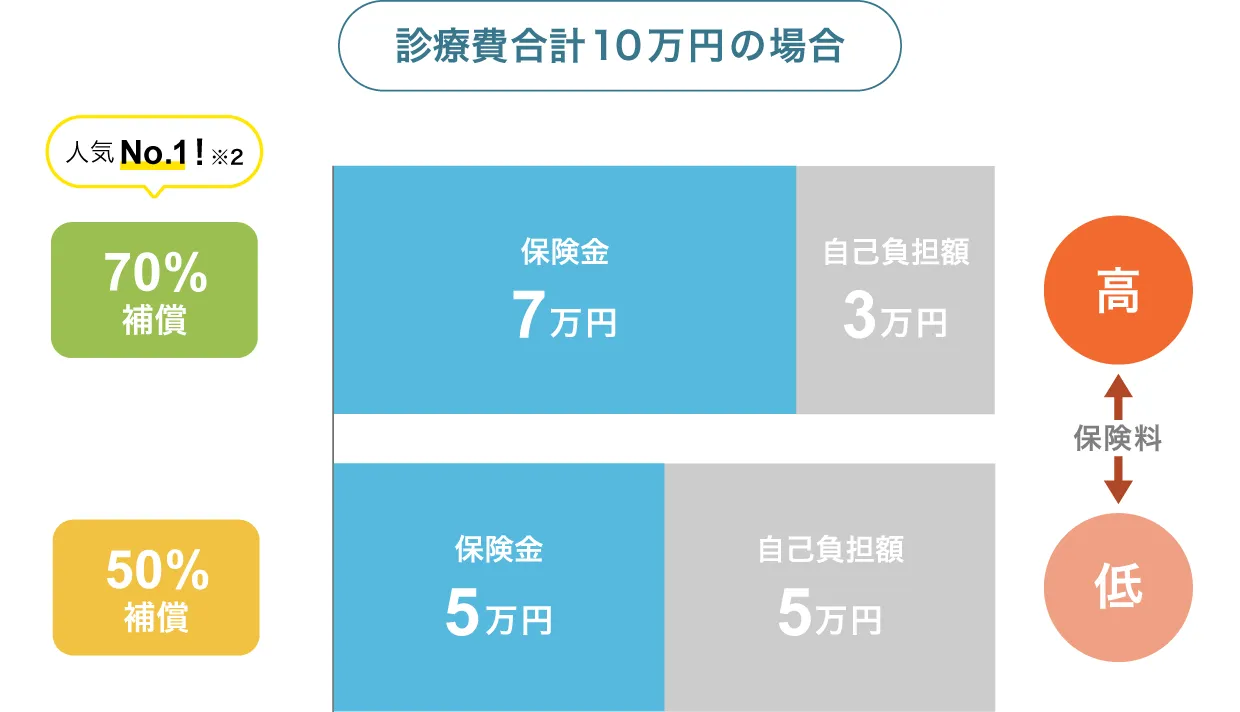 �⏞�����ɂ�鎩�ȕ��S�z�̈Ⴂ