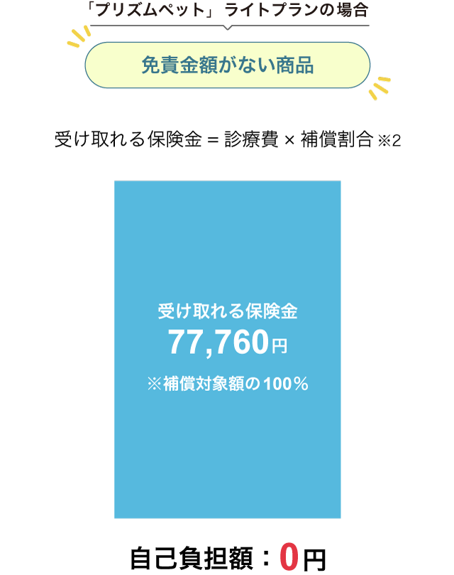 �ƐӋ��z����Ȃ��̈Ⴂ