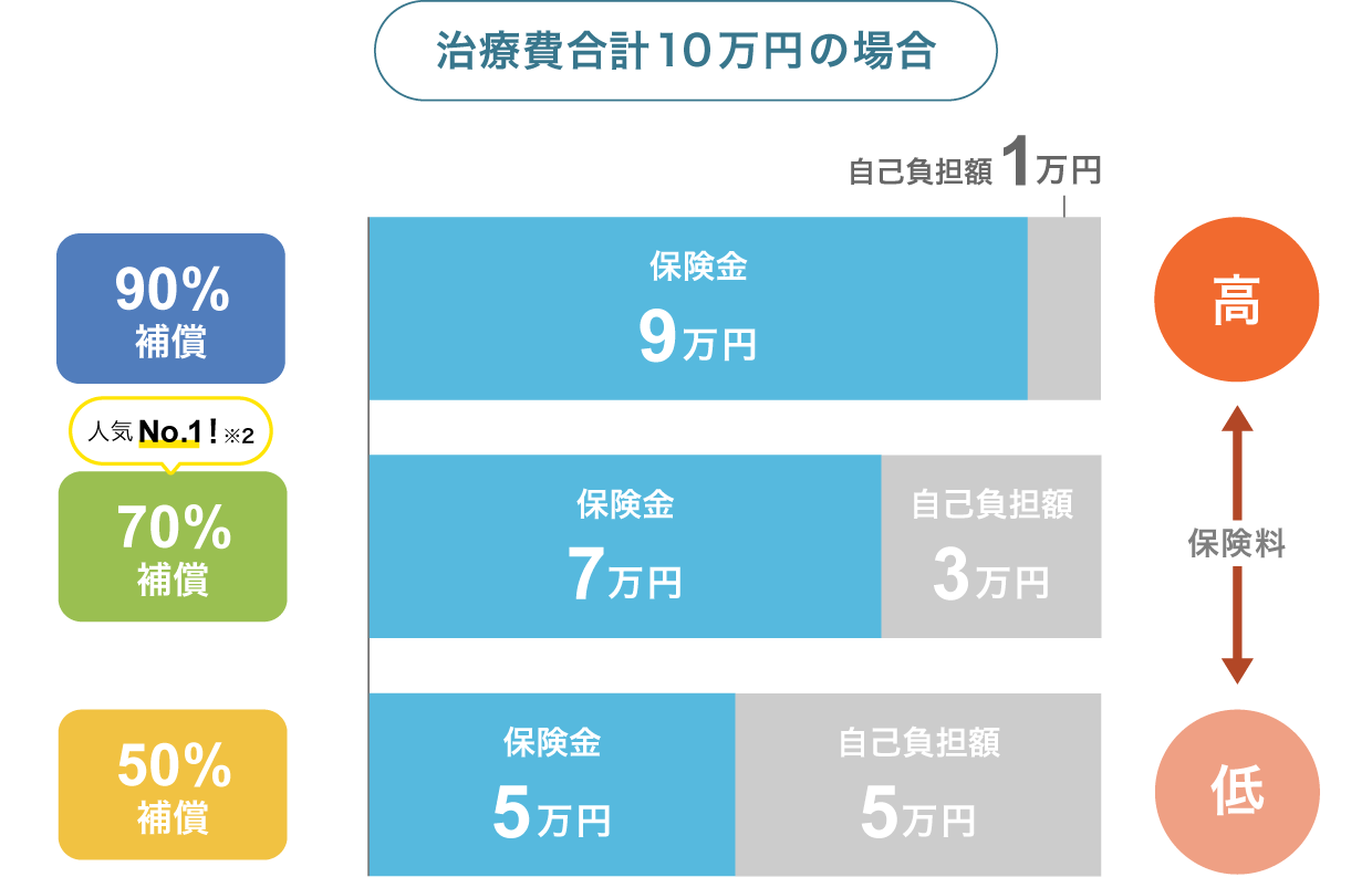 �⏞�����ɂ�鎩�ȕ��S�z�̈Ⴂ