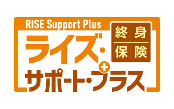 Igی VRISE Support [CYET|[gEvX]