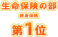 �����ی��̕� �I�g�ی� ��1��