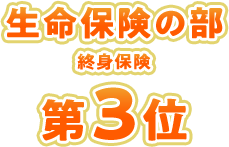 �I�g�ی��̕� ��3��