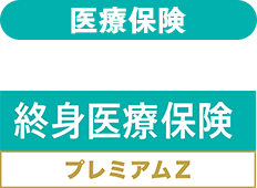 �I�g��Õی��v���~�A��Z