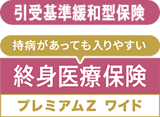 �ɘa�^��Õی��@�I�g��Õی��v���~�A��Z���C�h