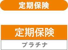 ����ی��v���`�i