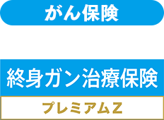 �I�g�K�����Õی��v���~�A��Z