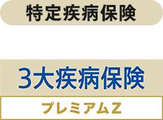 3�厾�a�ی��v���~�A��Z