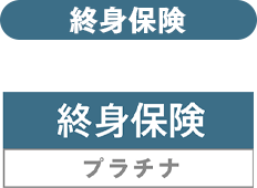 �I�g�ی��v���`�i