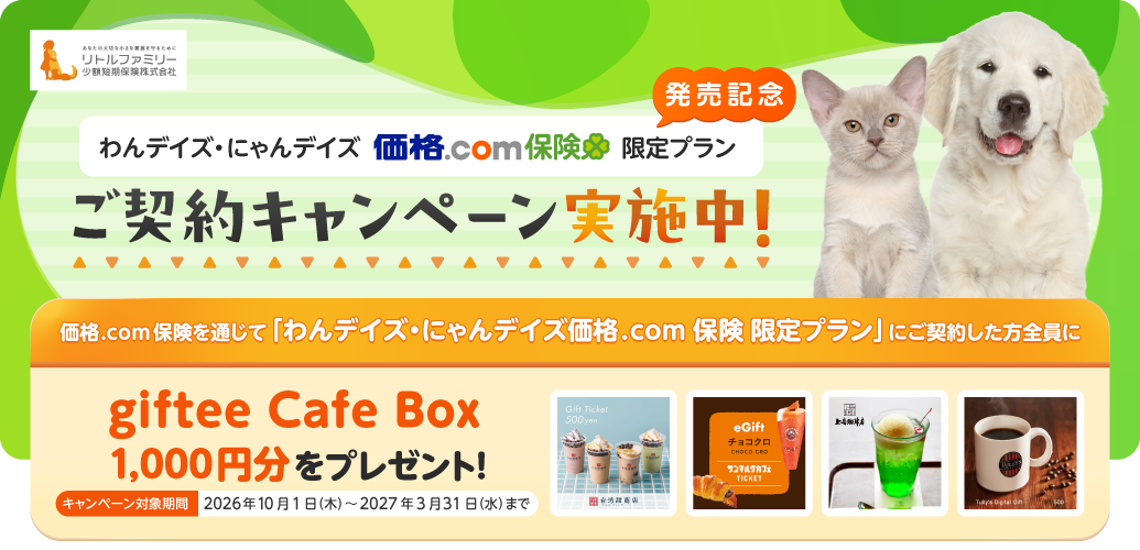 �u���f�C�Y�E�ɂ��f�C�Y ���i.com�ی� ����v�����v�����L�O ���_��L�����y�[�����{���I