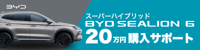 byd_SL6_656x164.png