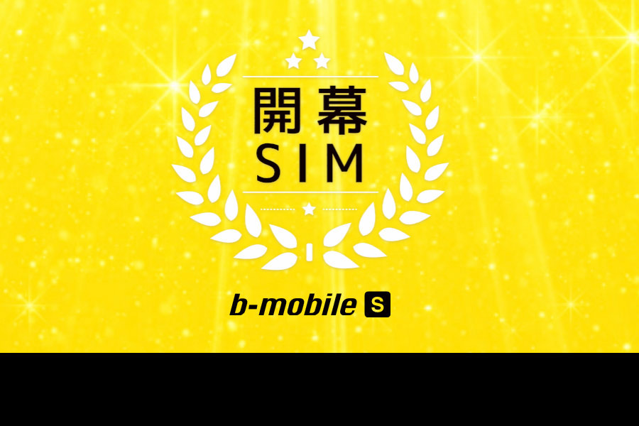 b-mobile simカードの通販・価格比較 - 価格.com