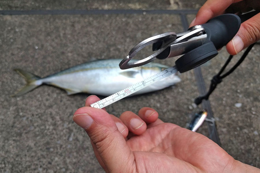 釣り人御用達 手を使わず魚をつかめ 計測もできるフィッシュグリップ 価格 Comマガジン