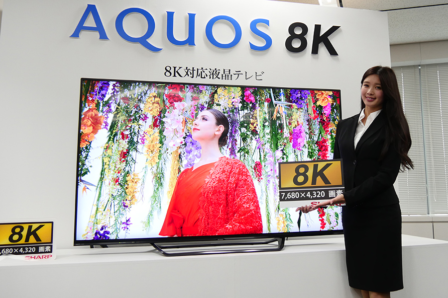 V[vAẺƒp8KteruAQUOS 8Kv12ɔI 