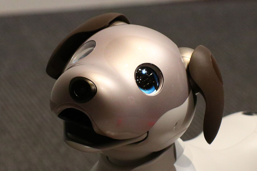 aibo（アイボ）」が帰ってきた！ 愛くるしい表情と滑らかな動きを動画