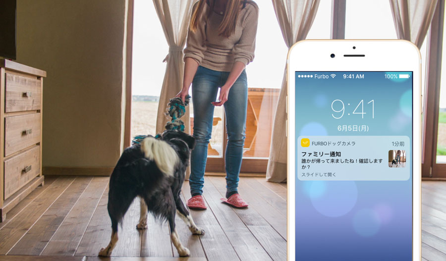 AI搭載の次世代ドッグカメラ「Furbo」が登場。仮想ペットシッターの