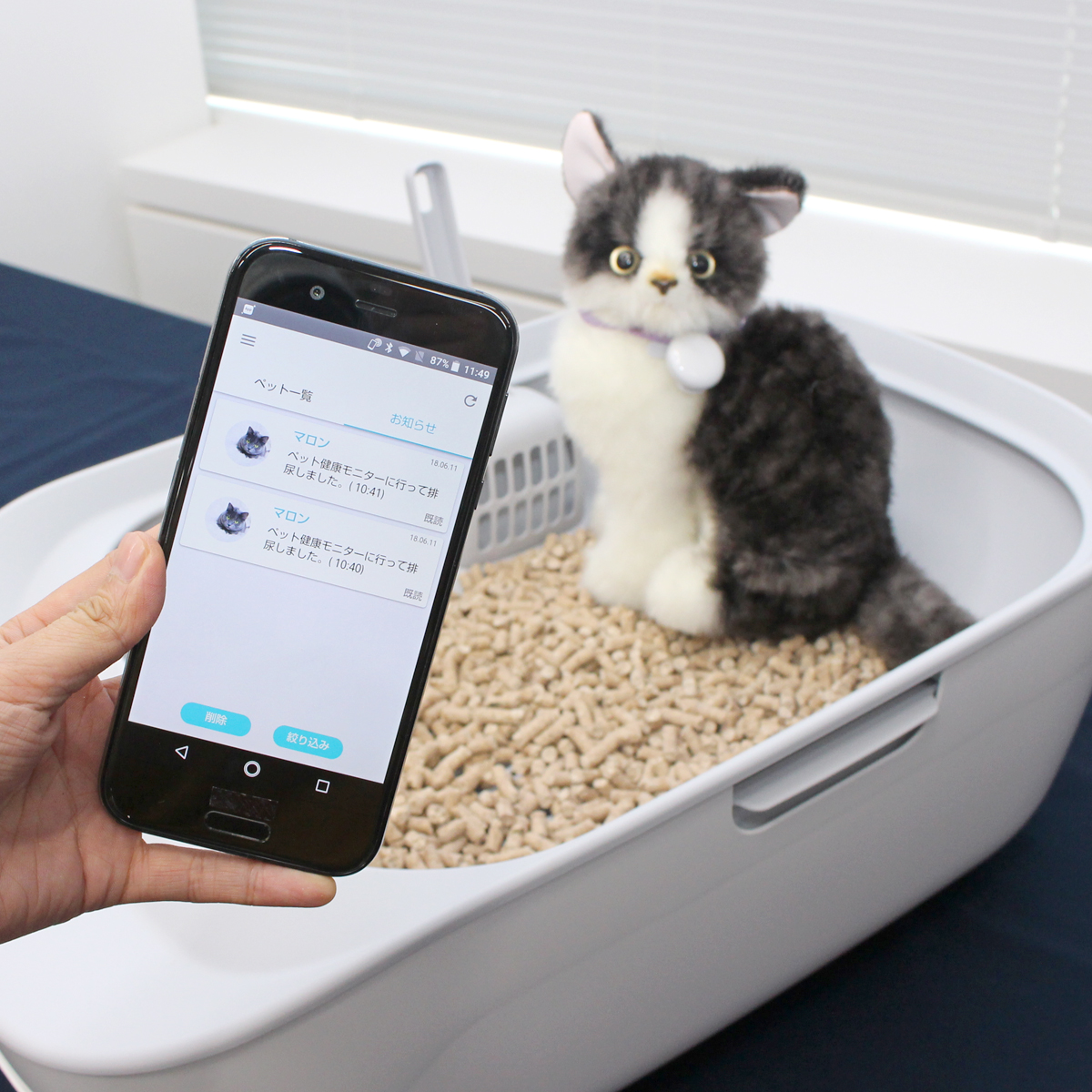 猫用トイレの新しい形 ニオイや砂の飛び散りに もう悩まニャイ 価格 Comマガジン