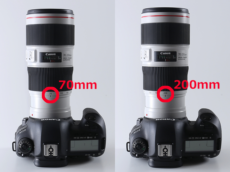 Canon EF70-200mm F4L IS Ⅱ USM 望遠ズーム-