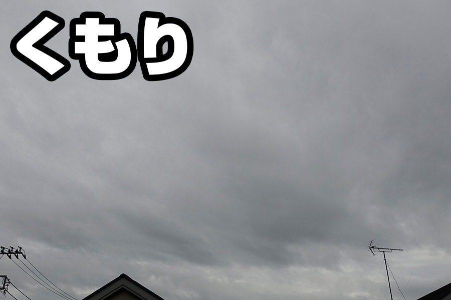 天気予想グッズ って本当に当たるのか 10日間徹底検証してみた 価格 Comマガジン