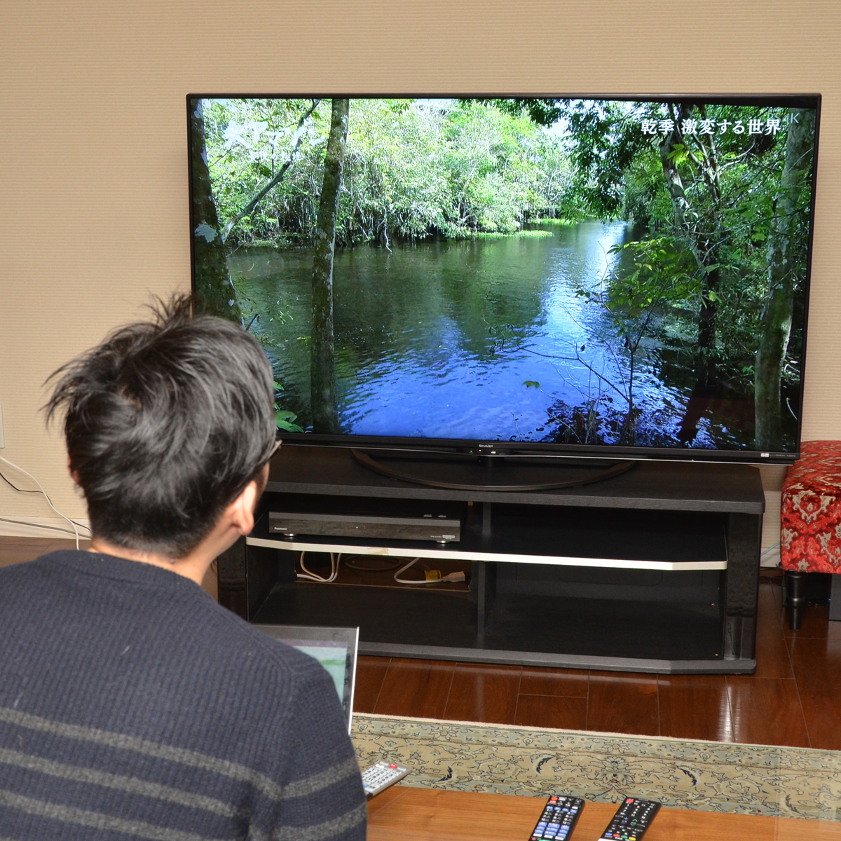 ȂǂH ŁAV[vAOHd@̐V4Kq`[i[erK`r