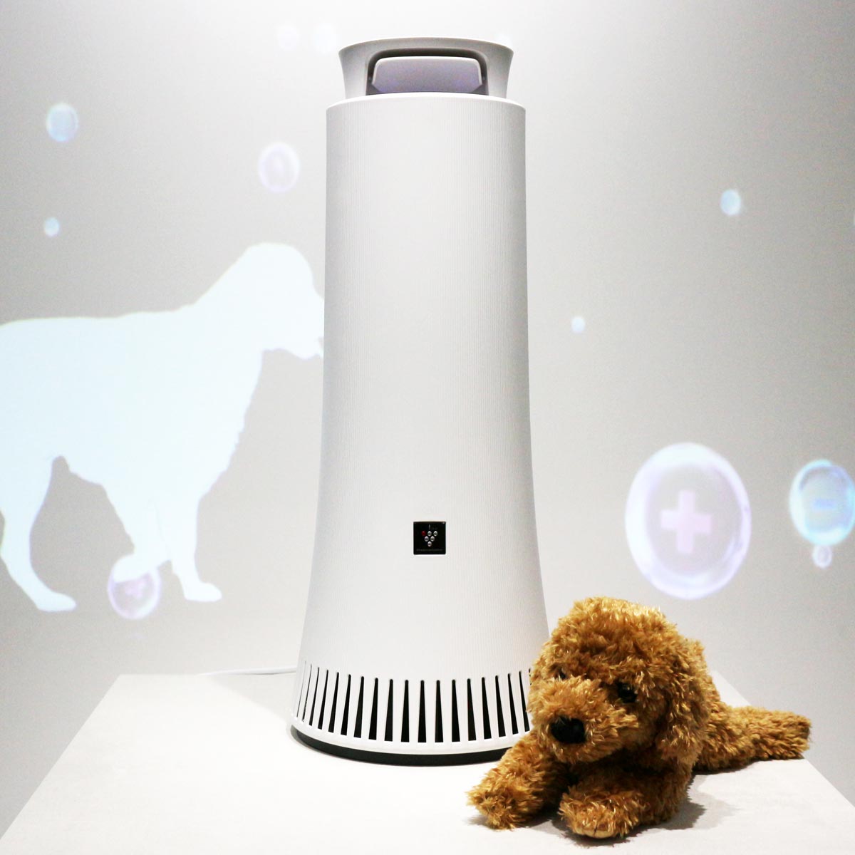 ELtB^[svI V[vuvY}NX^[ےEL@v͋͂ŎԂ炸