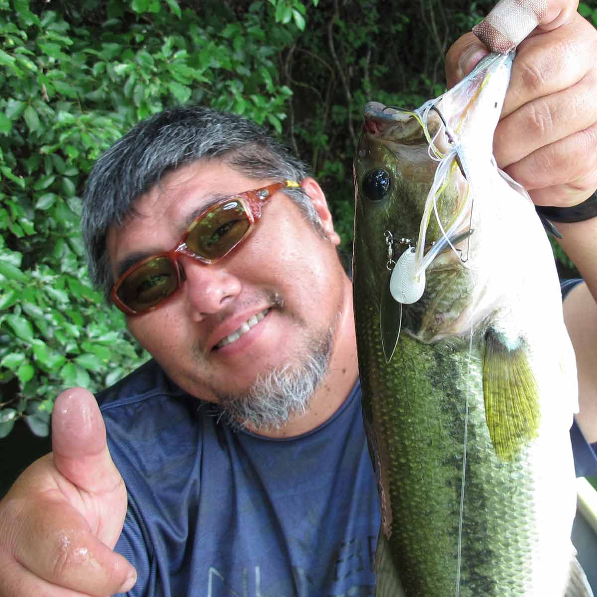 1日50アップ2本 ブルフラット ノンソルト 最強の基本テクに新事実発覚 価格 Comマガジン