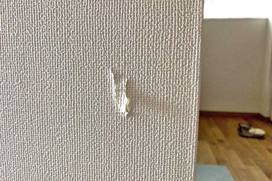 猫にひっかかれた壁紙は クロス補修ツールでどこまで直せるのか