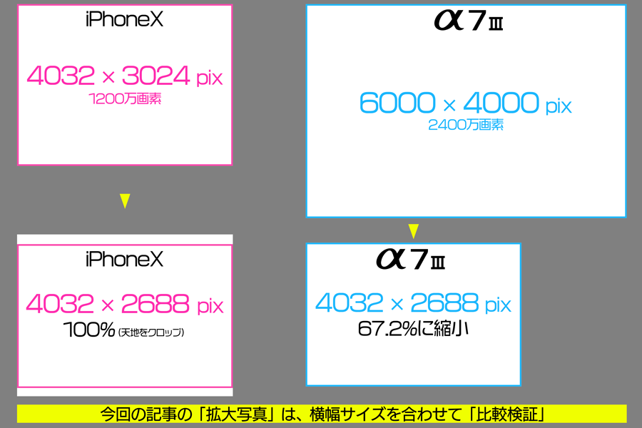 Iphone と フルサイズミラーレス 画質はぶっちゃけどれだけ違うのか 価格 Comマガジン