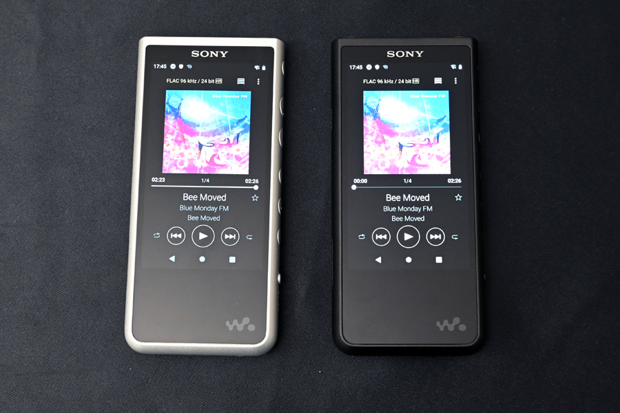 買物 ソニー ウォークマン 64GB Aシリーズ NW-A107 : ハイレゾ対応 MP3