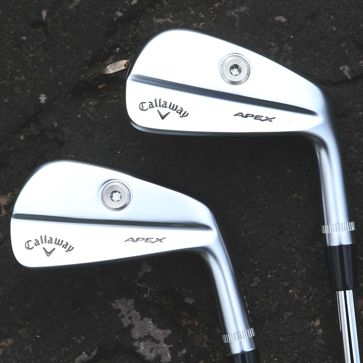 ㉺EɁg𑀂肽hȂ΁cLEFCuAPEX MBACAvCCI