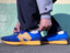 NS̑݊! j[oX̖삩CCƂ̢MS327