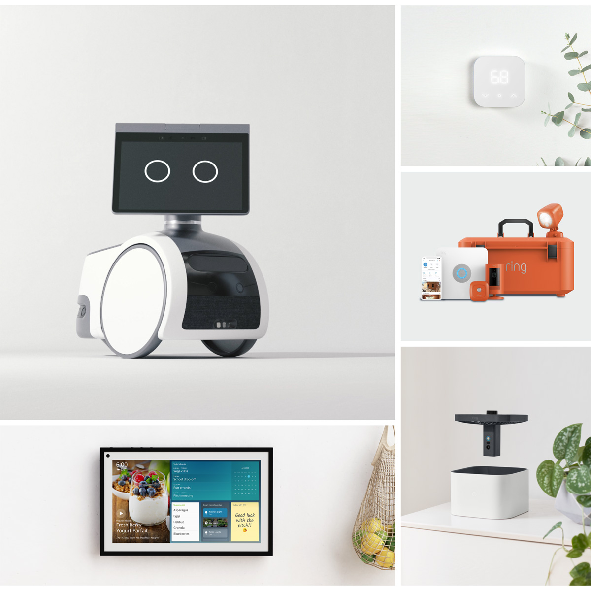 ƒp{bgɕǊ|Echo ShowI AmazonfoCXT[rX\ŔIꂽVi܂Ƃ