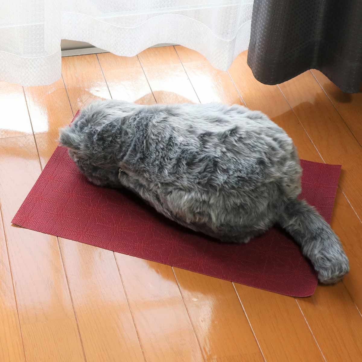 ミャウエバー」の人気商品一覧 | 安い商品を通販サイトから探す